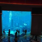 Atlantis the Palm akvárium, Atlantis the Palm Dubaj, Atlantis the Palm